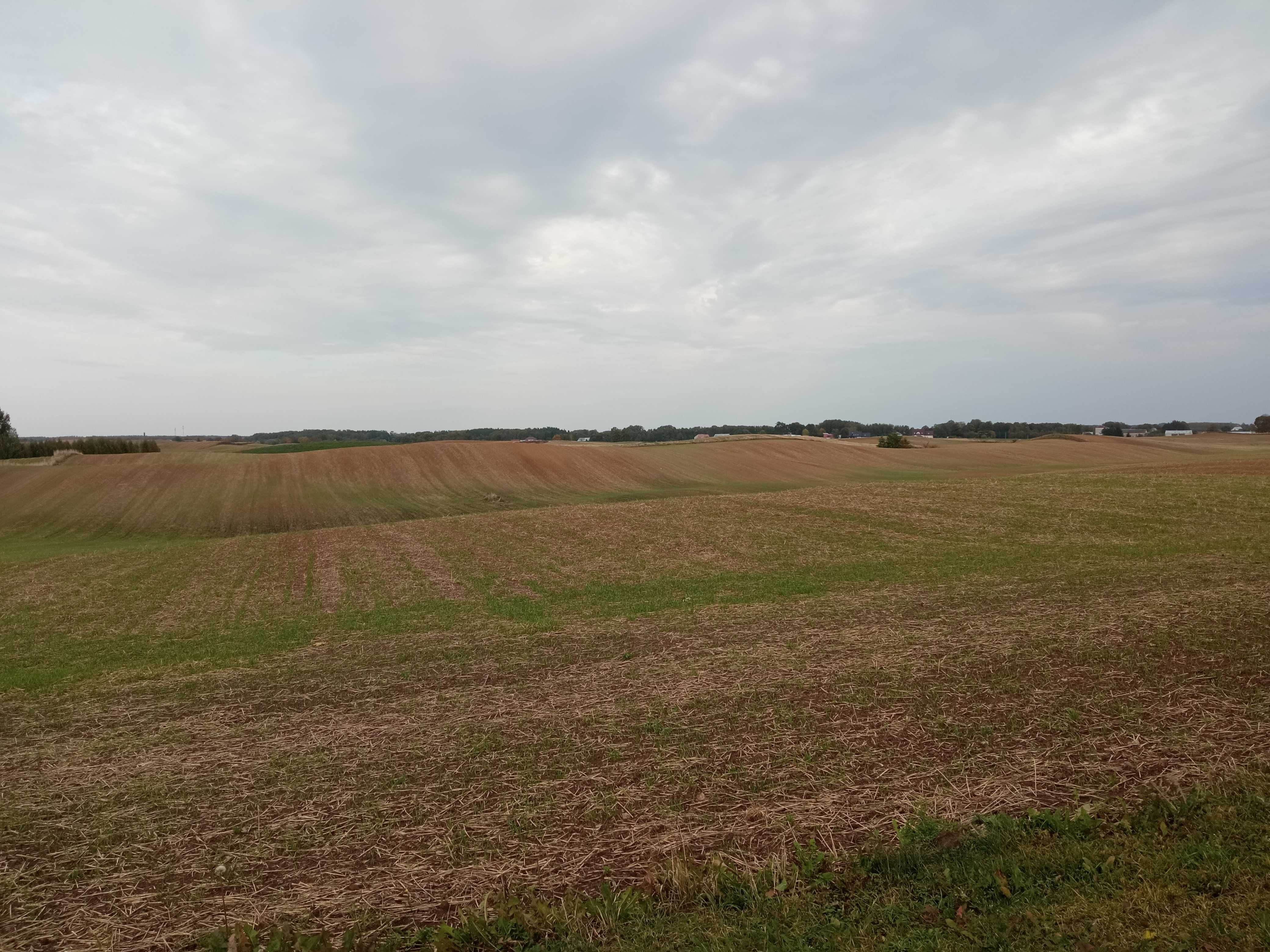 Grunty rolne o powierzchni ok. 10,5 ha (gmina Giby)