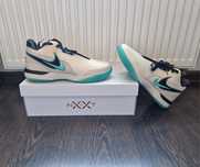 Nike LeBron NXXT GEN AMPD roz. 44