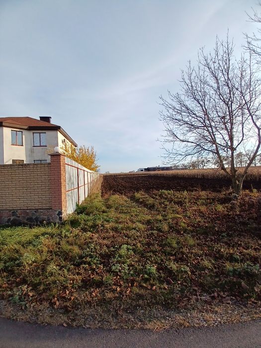 Терміново продам земельну ділянку в с.Полянецьке 20 соток