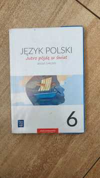 Jutro pójdę w świat.. Język polski kl 6.. ćw