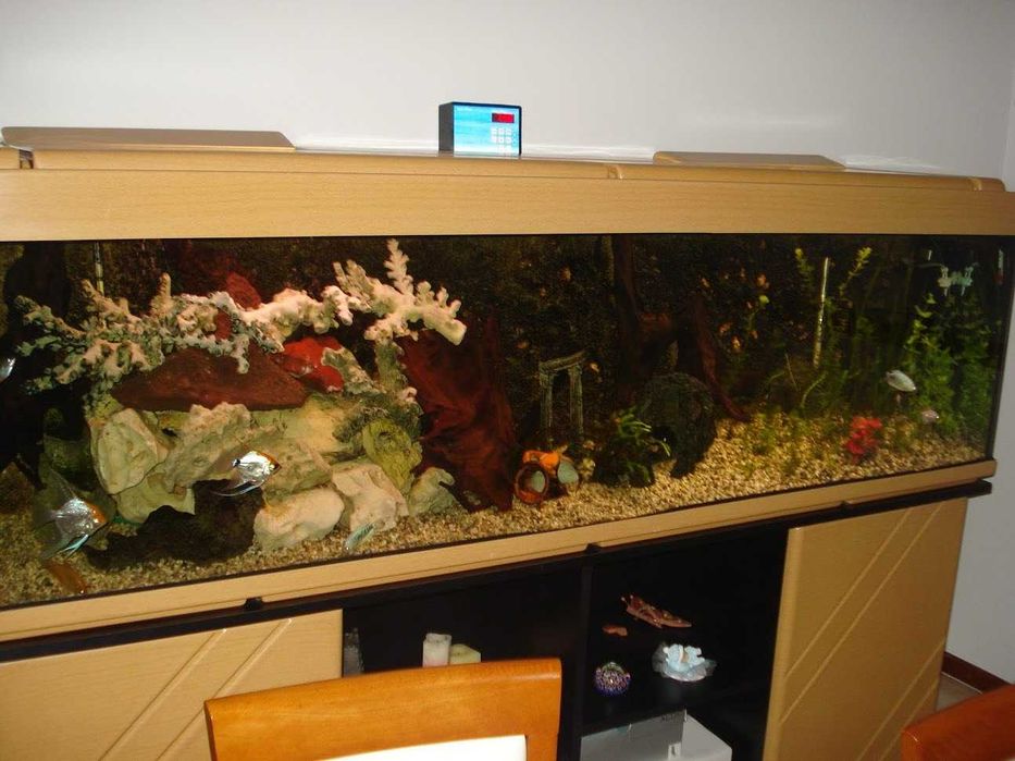 Aquário Completo 500L (2m) + Móvel + Filtros + CO2 – Oportunidade!