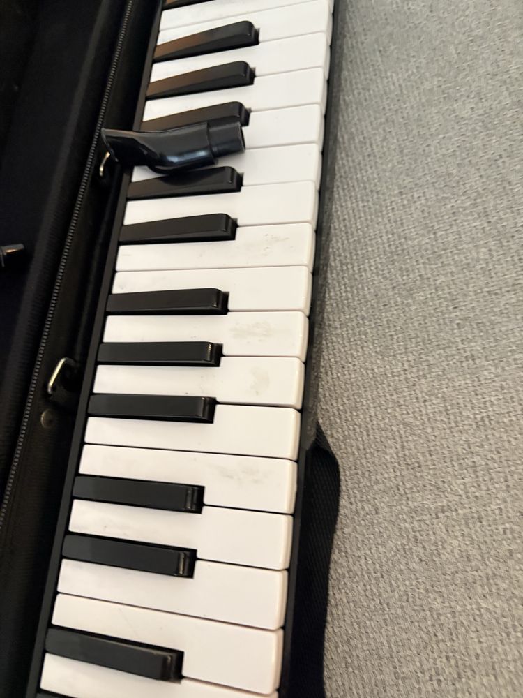 Melodica marca walther con estojo