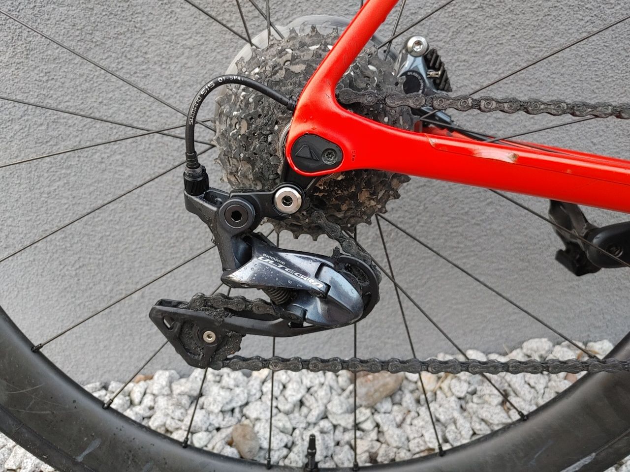 Rower Canyon Endurace CF SL Ultegra Dandy Horse Fizik  rozmiar M