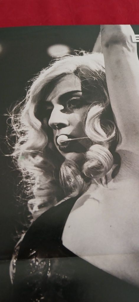 Poster Lady Gaga/McFly