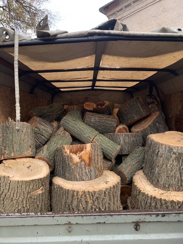 Продам дрова твердых пород 1000 грн