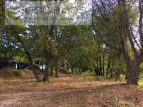 Terreno com 9000 m2 para construção