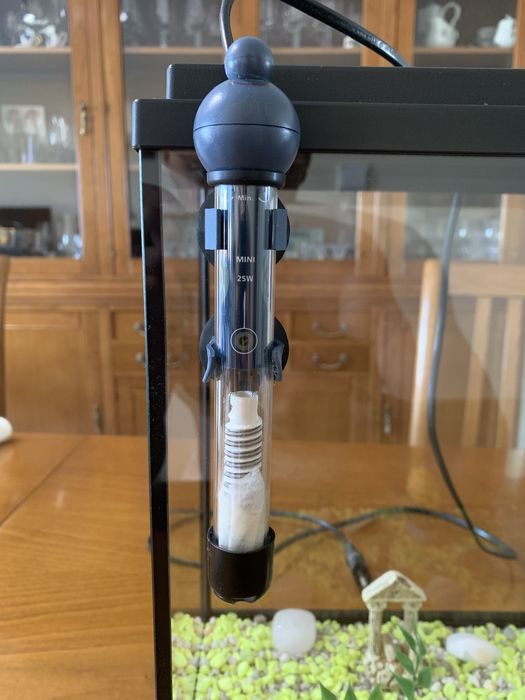 Aquário 15 Litros com Filtro, Termometro e Acessórios