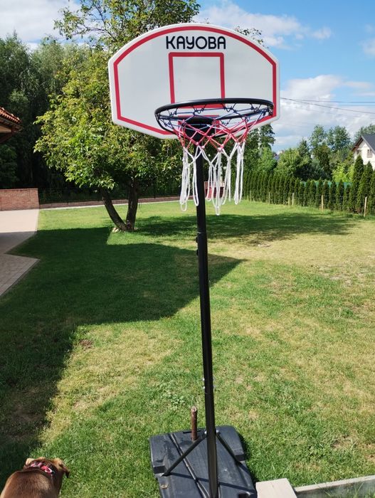Kosz do koszykówki