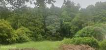 Terreno  para venda