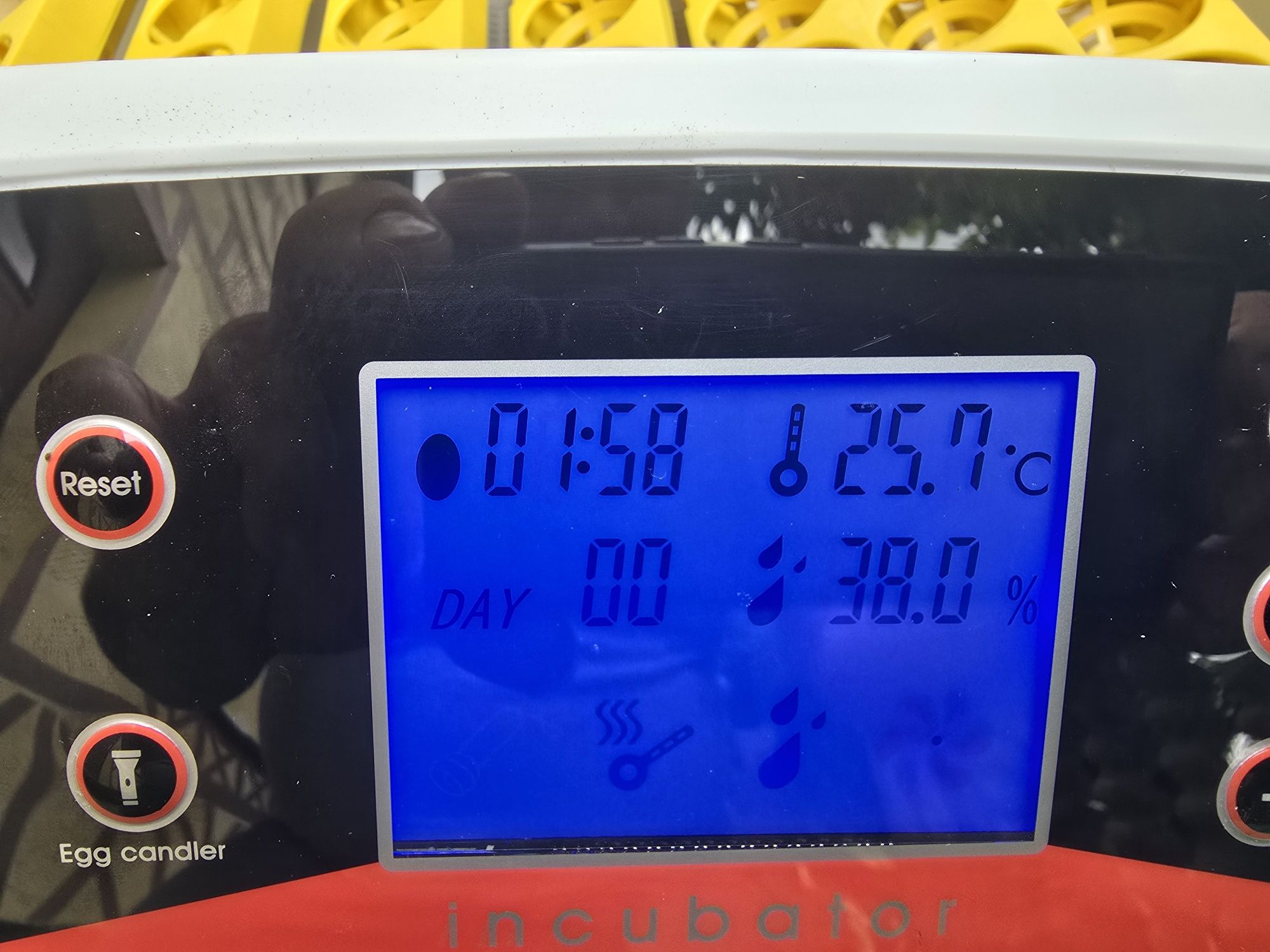 Inkubator automatyczny jaj kur
