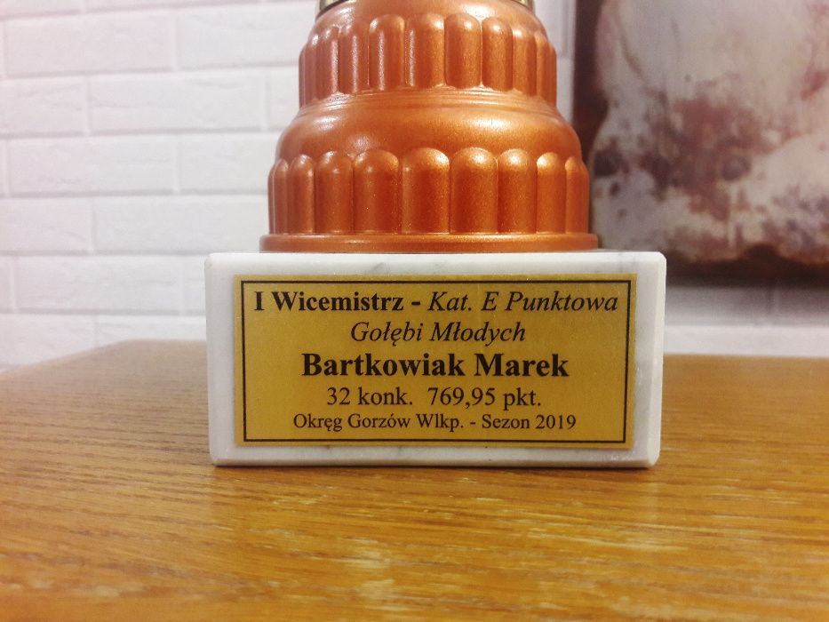 Gołębie Pocztowe rozpłodowe i lotowe  Wielokrotny Mistrz