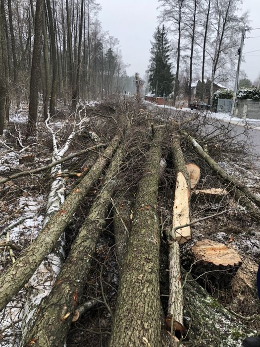 Wycinka drzew lasów działek podnosnik koszowy rebak vermeer