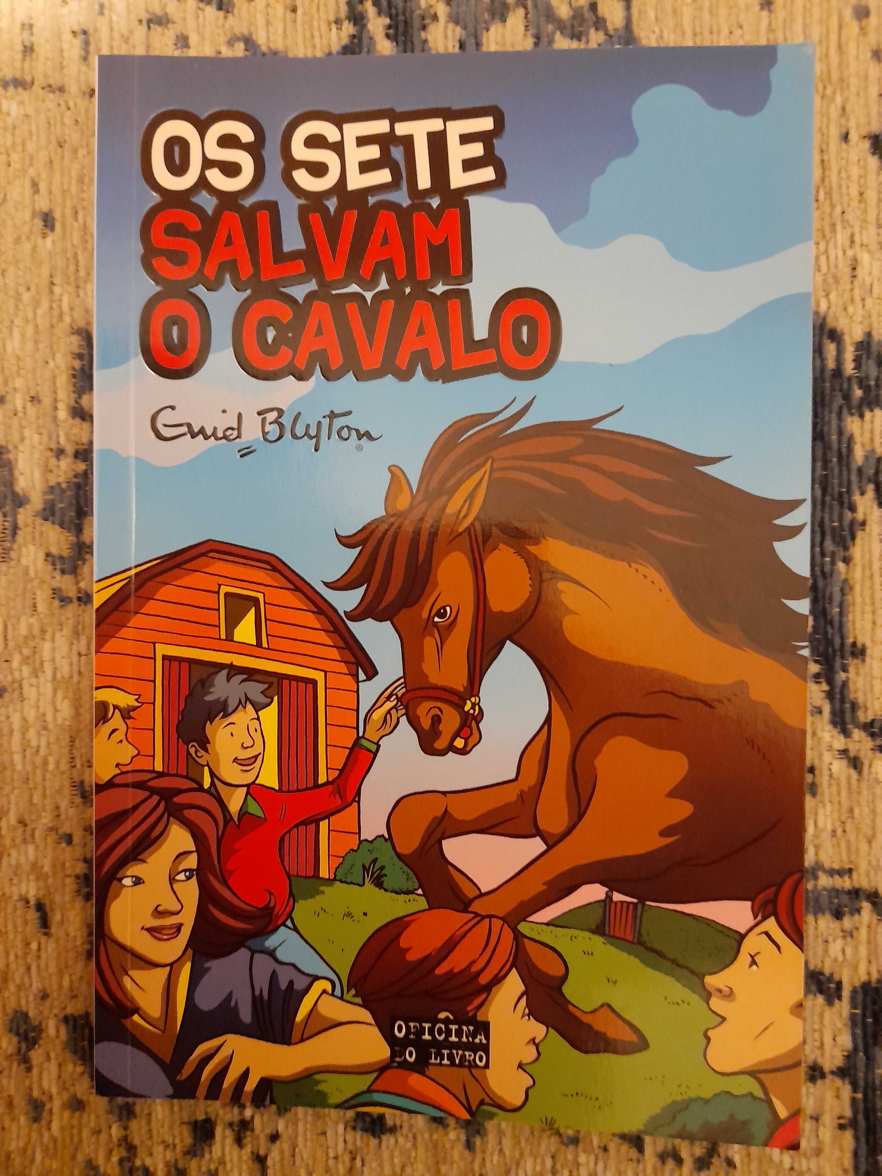 Os Sete Salvam o Cavalo, Enid Blyton