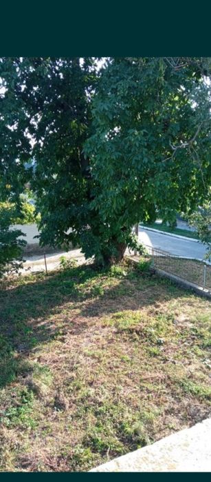 Будинок в Кам'янках