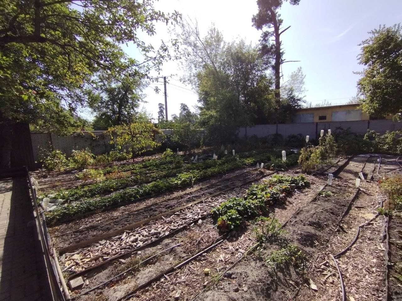 Пропоную до продажу будинок в районі Соснівка, вул. Ціолковського