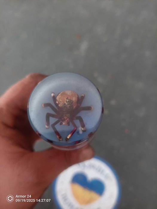 Ручка эксклюзивная на КПП