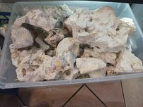 Wapień filipiński cena za kilogram