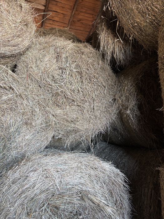 SIANO SŁOMA bele baloty