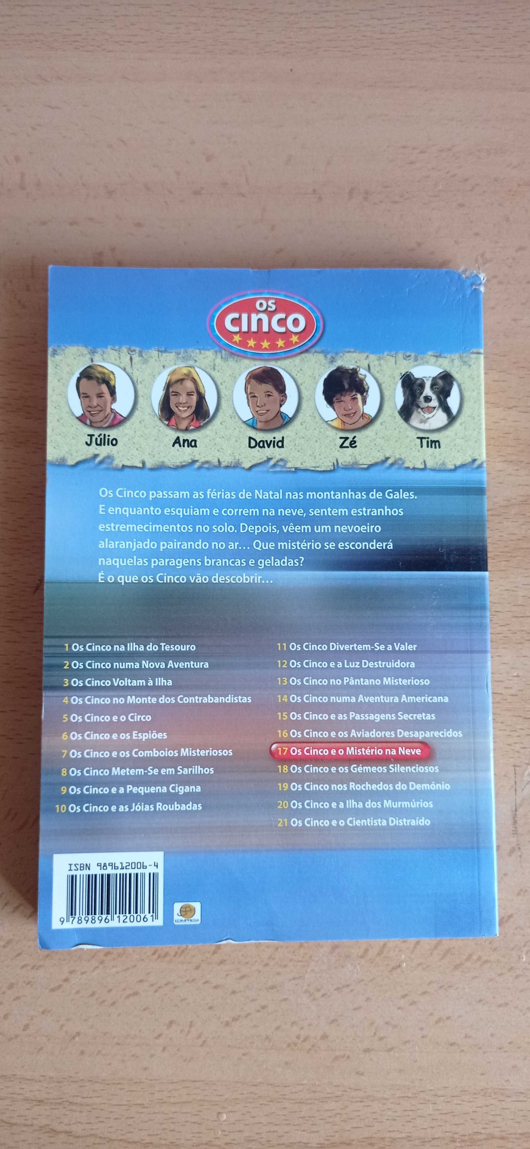 Livro da coleção Os cinco - Os cinco e o mistério na neve