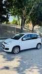 Fiat Panda 1.2 Gasolina/GPL Nov/2017