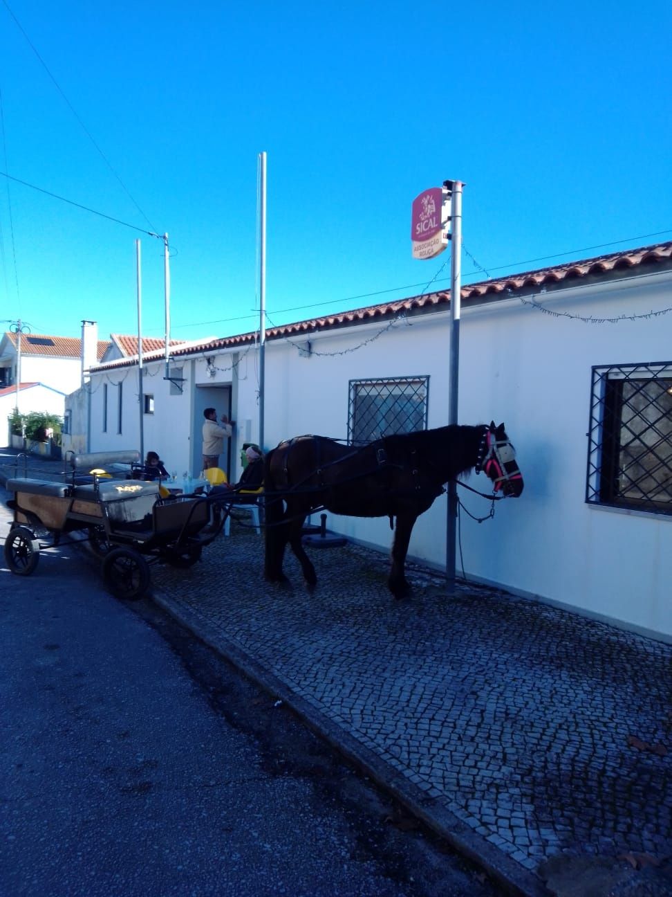 Cavalo Cruzado português