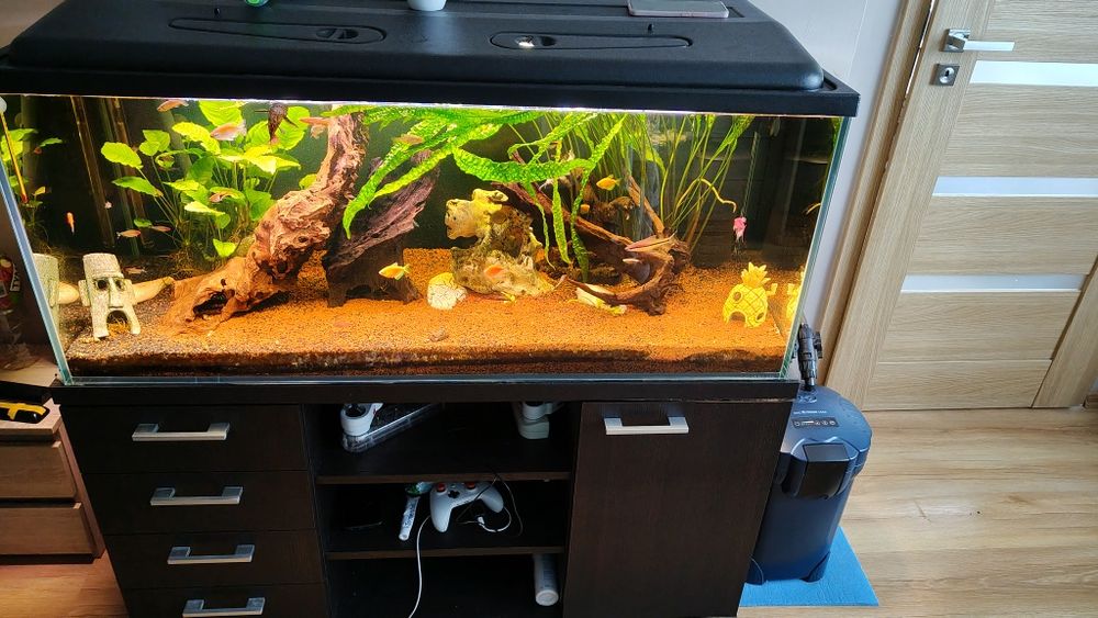 Sprzedam akwarium 300 l