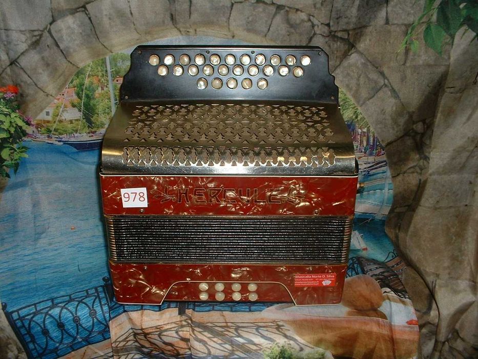 Concertina Avenda N . 978