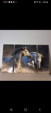 Obraz konie Stan idealny 60×95 cm