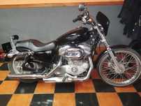 Harley davidson sportster custom