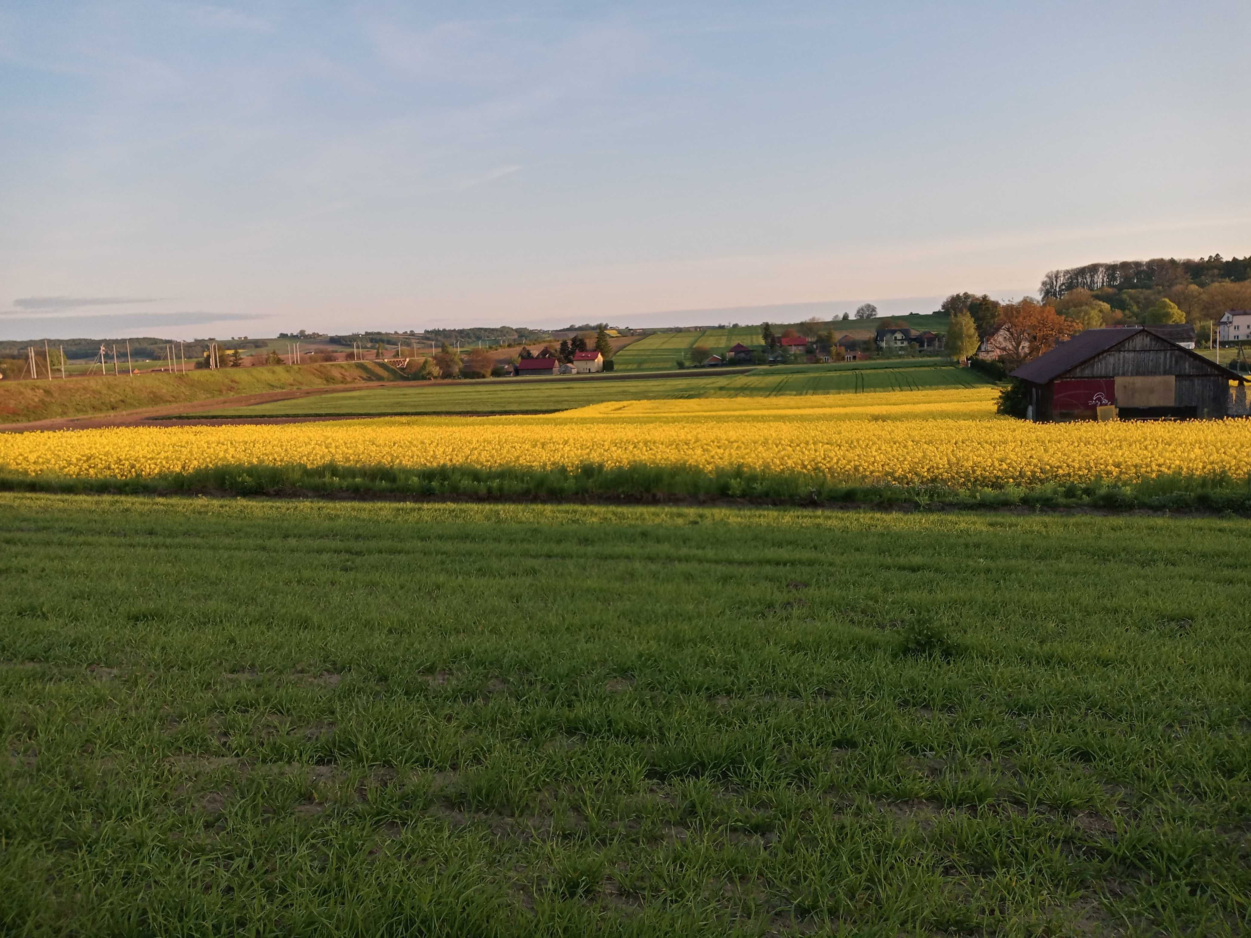 Działka 12ar Polanowice