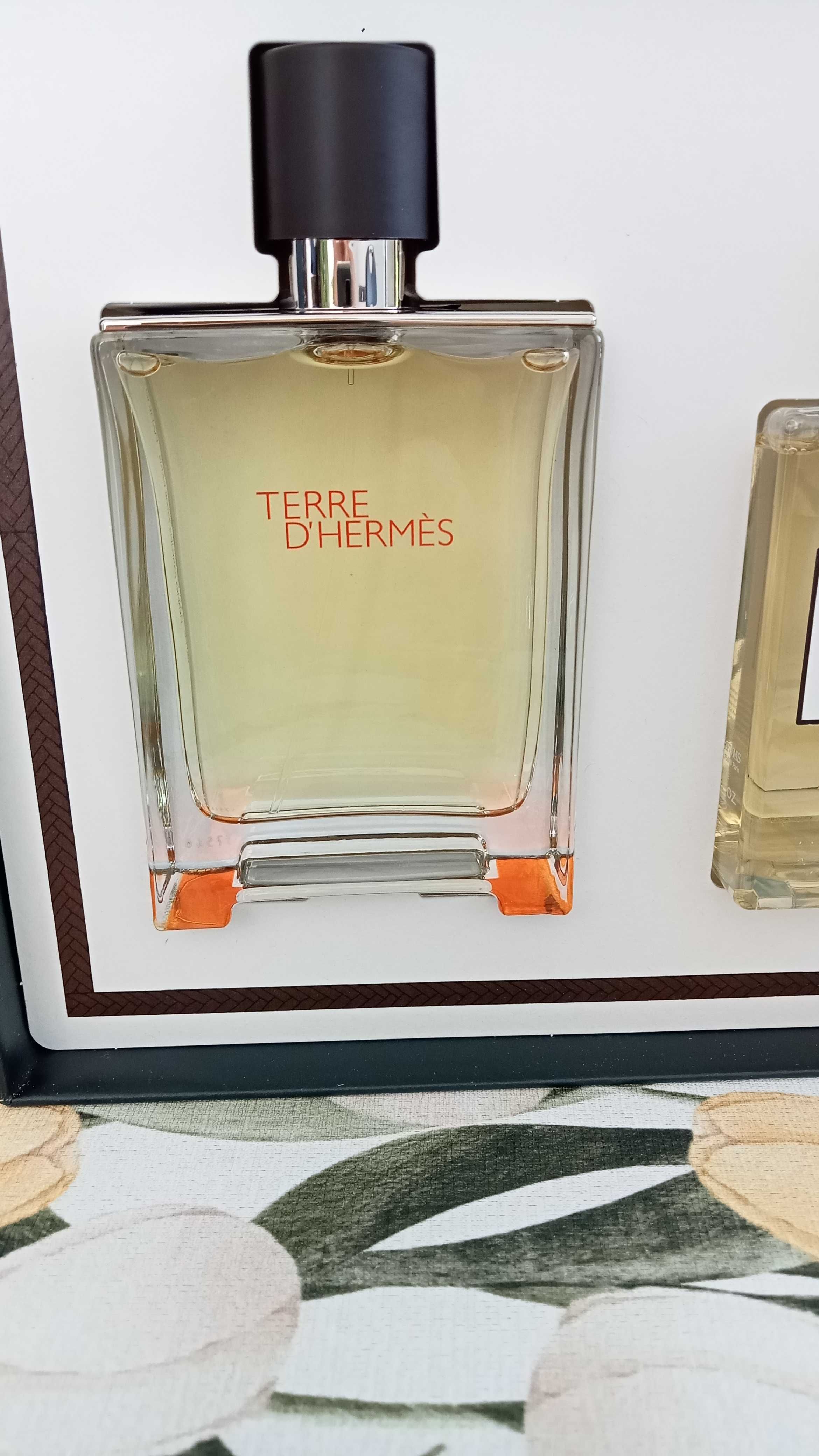 Hermes Terre D'Hermes zestaw edt 100ml + żel pod prysznic 80ml