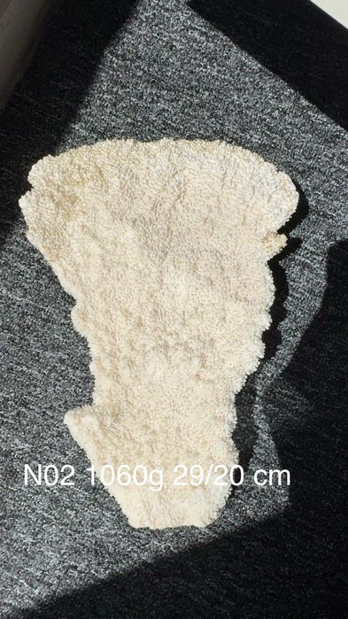 Dekoracja akwariowa nr 02