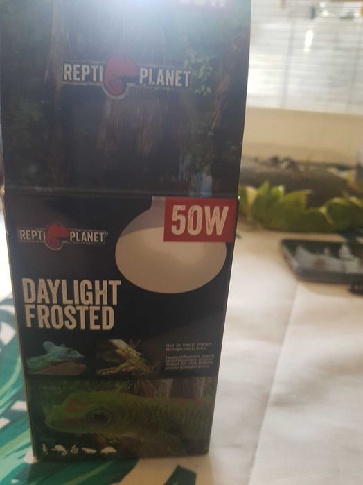 Zarowka grzejaca egzotyke repti planet 50