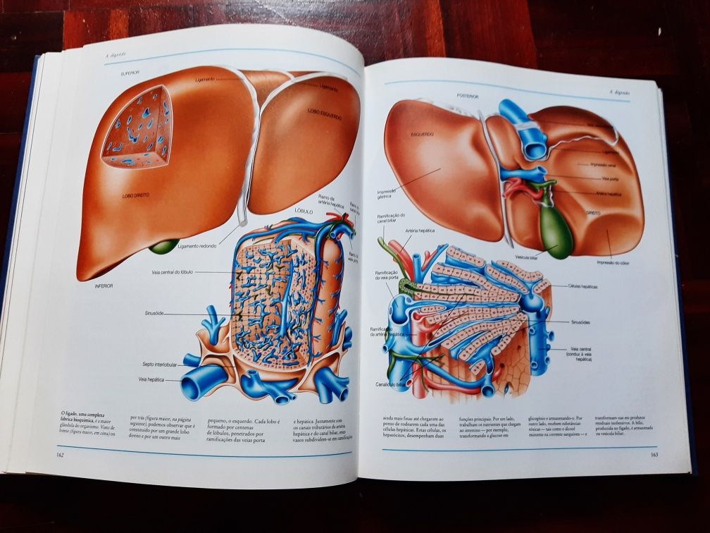 O Corpo Humano, edição da Verbo