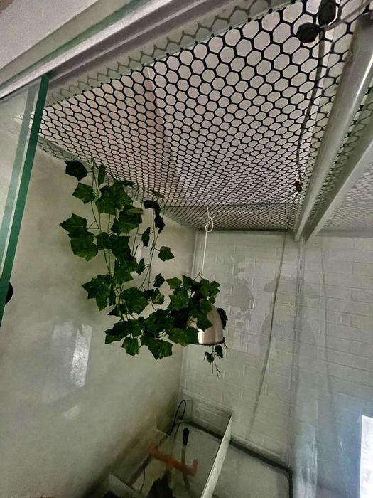 Террариум для всех видов рептилий