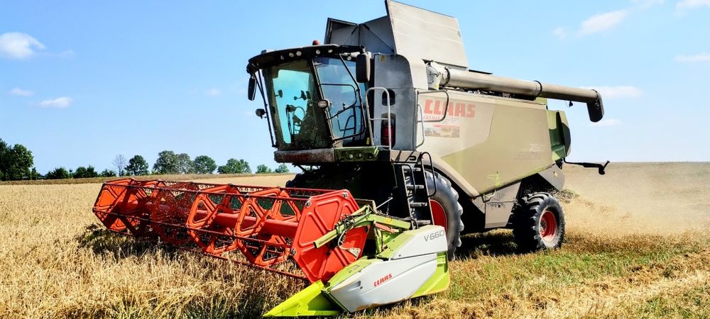 Usługa zbioru zboża, rzepaku, kukurydzy