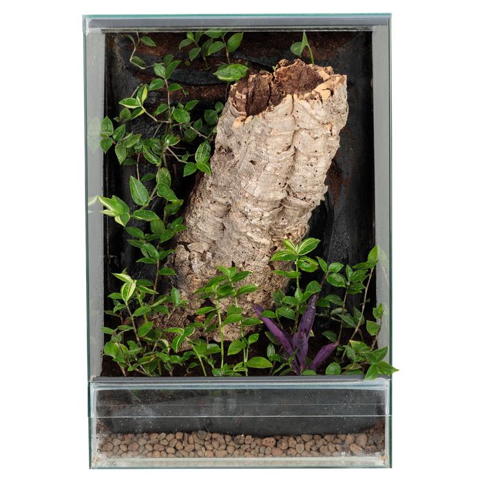 Terrarium paludarium vivarium
