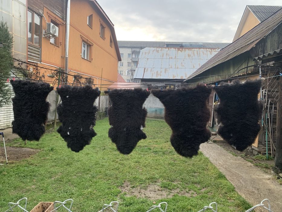 робоча тема в авто чиив хату