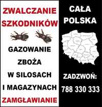 Gazowanie zboża w silosach I magazynach dezynsekcja , dezynfekcja