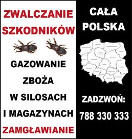 Gazowanie zboża w silosach I magazynach dezynsekcja cała Polska!!!