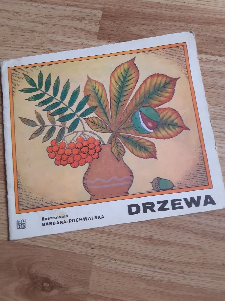 Książeczka Edukacyjna. Dla najmłodszych. Drzewa