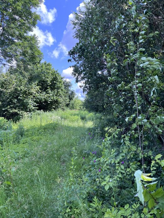 Działka zagrodowa 40arów