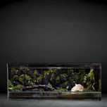 Terrarium tropikalne 40x40x60 gekon