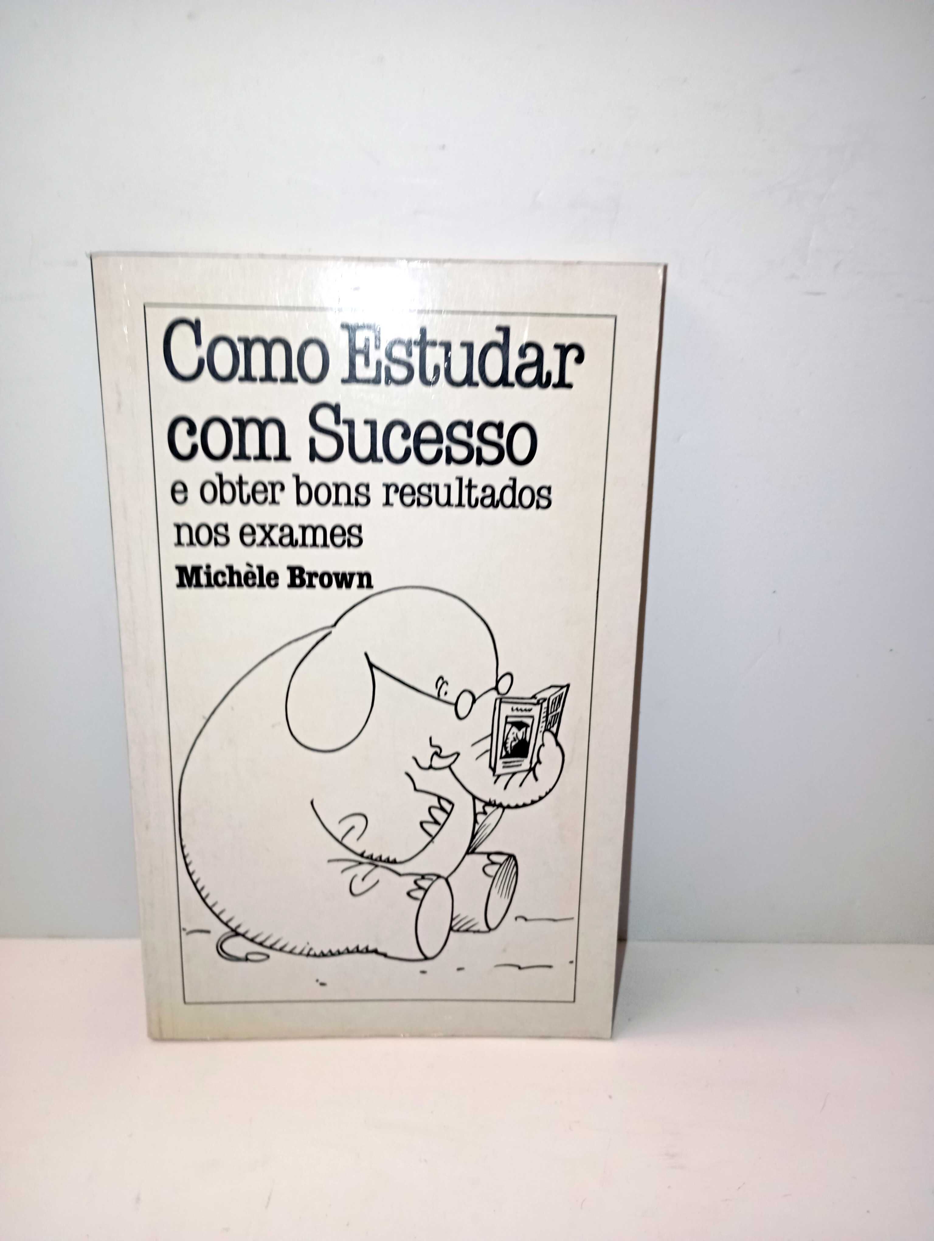 Como estudar com Sucesso