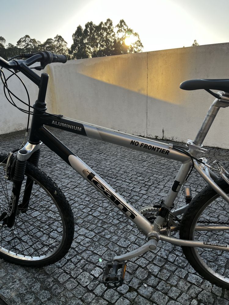 bicicleta-(team)