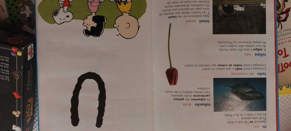 Livros Coleção Charlie Brown