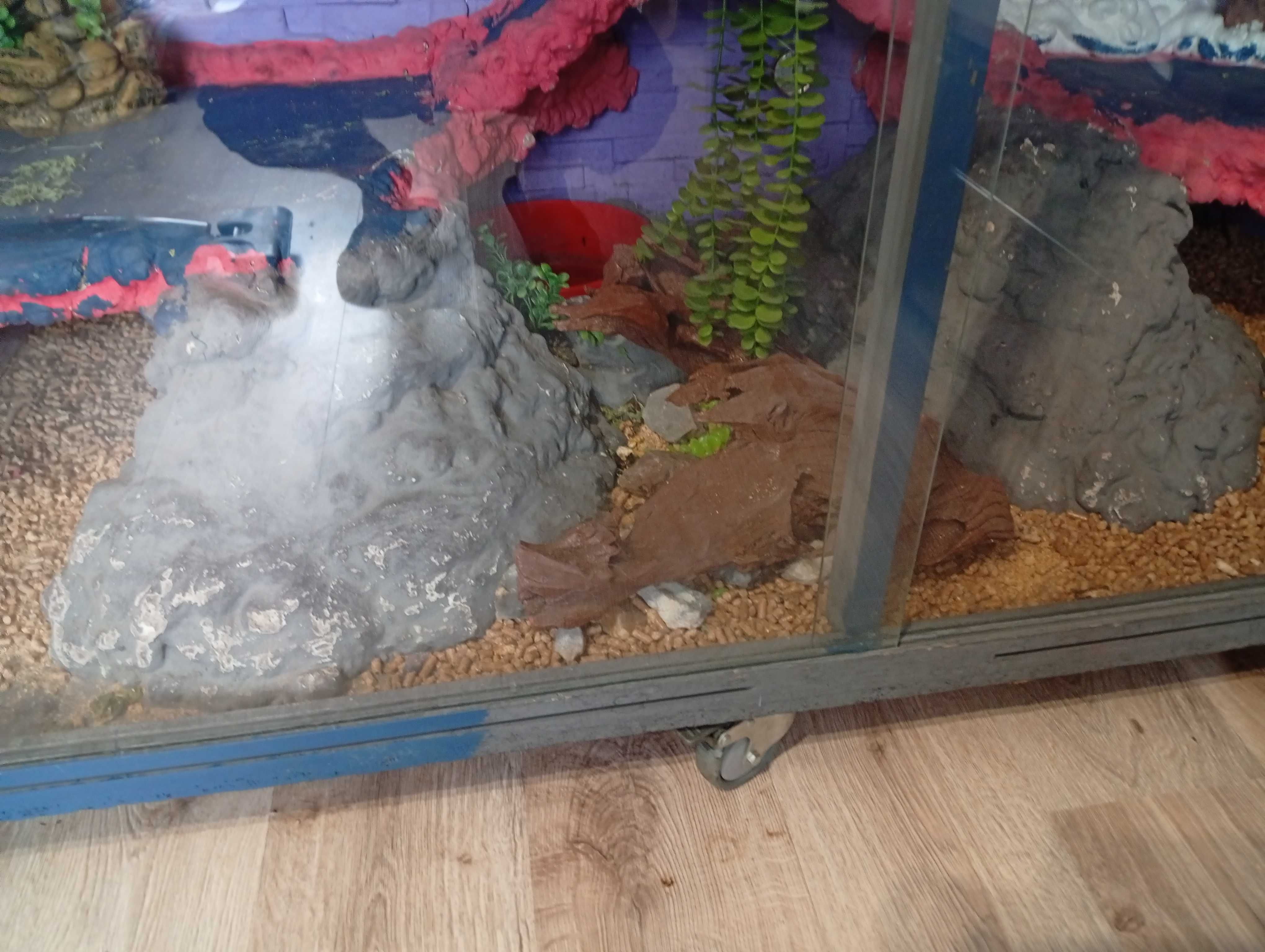 Sprzedam terrarium samoróbka