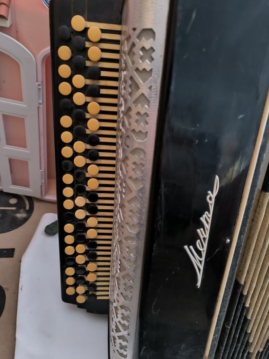 Электробаян Мечта