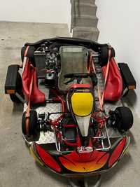 Karting automático motor 125cc rotax
[1