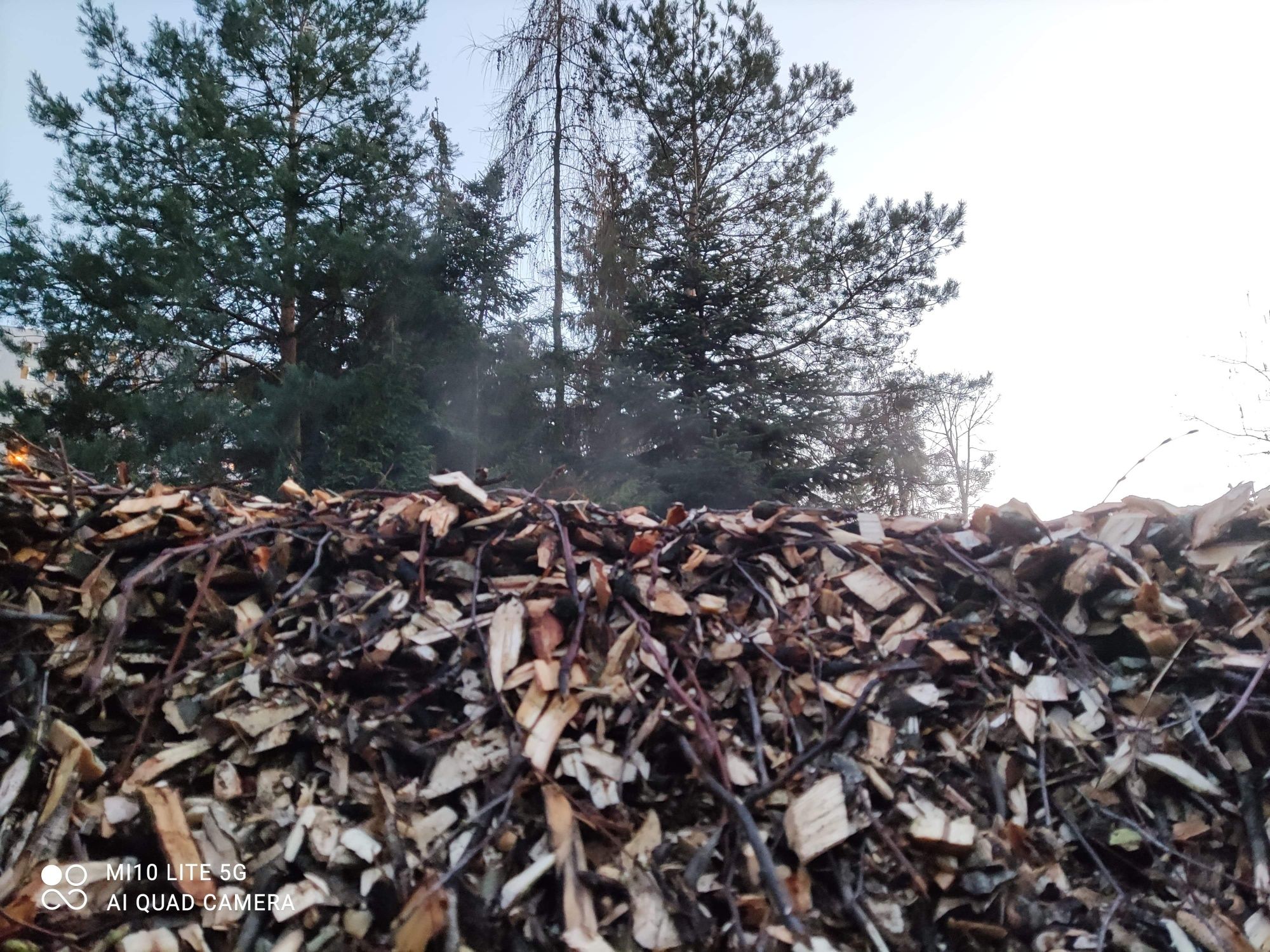 Zrębki ogrodowe zrębka . liściaste owocowe iglaste 100l. Permakultura